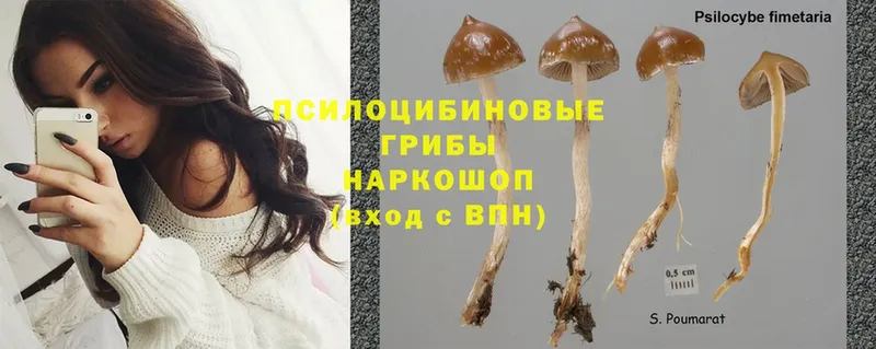 наркотики  Островной  Галлюциногенные грибы MAGIC MUSHROOMS 